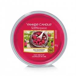 RED RASPBERRY Melt Cup Scenterpiece™ - Yankee Candle