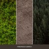 FIREWOOD & BIRCH Duża świeca - Nature's Wick by WoodWick