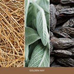 GOLDEN HAY Duża świeca - Nature's Wick® by WoodWick®