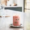 TROPICAL BREEZE Świeca duża - Yankee Candle