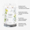 MIDNIGHT JASMINE Tumbler z 2 knotami - Yankee Candle