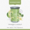 VANILLA LIME Tumbler z 2 knotami - Yankee Candle