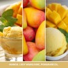 MANGO ICE CREAM Wosk - Yankee Candle