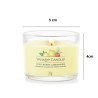 ICED BERRY LEMONADE Świeca mini - Yankee Candle