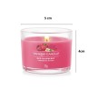 RED RASPBERRY Świeca mini - Yankee Candle