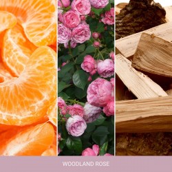 WOODLAND ROSE Średnia świeca - Nature's Wick® by WoodWick®