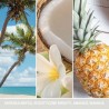 COCONUT BEACH Wosk - Yankee Candle