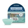 ALOE & AGAVE Wosk - Yankee Candle