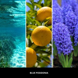 BLUE POSIDONIA Pałeczki zapachowe 100 ml MILLEFIORI MILANO - Millefiori