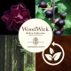 BLACK CURRANT & ROSE ŚWIECA ŚREDNIA - WoodWick