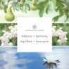 BALANCE & HARMONY (WATERLILY PEAR) ŚWIECA DUŻA Z 3 KNOTAMI - Chesapeake Bay Candle