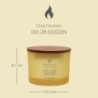 STRENGTH & ENERGY (PINEAPPLE COCONUT) ŚWIECA DUŻA Z 3 KNOTAMI - Chesapeake Bay Candle