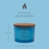 CONFIDENCE & FREEDOM (OAK MOSS AMBER) ŚWIECA DUŻA Z 3 KNOTAMI - Chesapeake Bay Candle