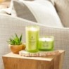 AWAKEN & INVIGORATE (LEMONGRASS EUCALYPTUS) ŚWIECA DUŻA - Chesapeake Bay Candle