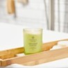 AWAKEN & INVIGORATE (LEMONGRASS EUCALYPTUS) ŚWIECA ŚREDNIA - Chesapeake Bay Candle