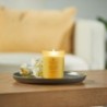 STRENGTH & ENERGY (PINEAPPLE COCONUT) ŚWIECA ŚREDNIA - Chesapeake Bay Candle