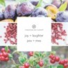 JOY & LAUGHTER (CRANBERRY DAHLIA) ŚWIECA ŚREDNIA - Chesapeake Bay Candle
