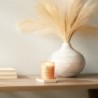 LOVE & PASSION (GRAPEFRUIT MANGO) ŚWIECA ŚREDNIA - Chesapeake Bay Candle