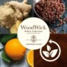 GINGER & TURMERIC ŚWIECA ŚREDNIA - WoodWick