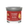 BIG APPLE CHRISTMAS Tumbler z 1 knotem - Yankee Candle