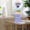 LILAC BLOSSOMS Świeca duża - Yankee Candle