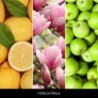 FIORI DI PERLA Płyn zapachowy 250ml - Millefiori
