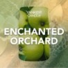 ENCHANTED ORCHARD Świeca duża - Yankee Candle