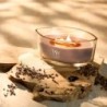 PATCHOULI CREME ŚWIECA ELIPSA - WoodWick