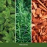 WINTER FIR Wosk - Home Inspiration