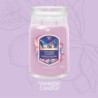 SUMMIT STARGAZING Świeca duża - Yankee Candle