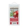 MISTLETOE CHARM Wosk - Home Inspiration