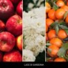 LUCE DI GARDENIA Zestaw prezentowy LAUNDRY - Millefiori