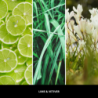 LIME & VETIVER Odświeżacz do samochodu CAR ICON - Millefiori