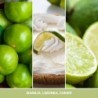 VANILLA LIME Słoik duży - Yankee Candle