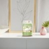 VANILLA LIME Słoik duży - Yankee Candle