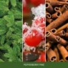 PEPPERBERRY PINE Słoik mały - Home Inspiration