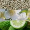 WHITE TEA & JASMINE ŚWIECA MAŁA - WoodWick