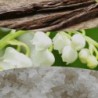 VANILLA & SEA SALT ŚWIECA MAŁA - WoodWick