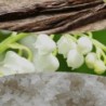 VANILLA & SEA SALT ŚWIECA DUŻA - WoodWick