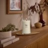 PATCHOULI CREME ŚWIECA DUŻA - WoodWick