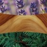 LAVENDER & CEDAR ŚWIECA ELIPSA - WoodWick