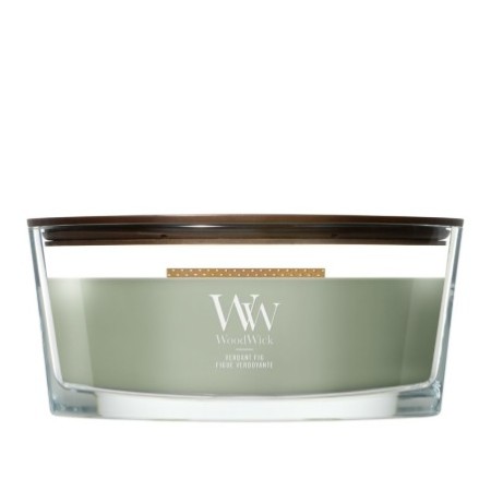 VERDANT FIG ŚWIECA ELIPSA - WoodWick