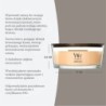 TANGERINE & CITRON ŚWIECA ELIPSA - WoodWick