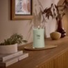 MATCHA ZEST ŚWIECA DUŻA - WoodWick