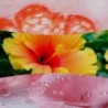 LUSH POMELO ŚWIECA MAŁA - WoodWick