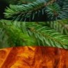 FRASER FIR ŚWIECA ŚREDNIA - WoodWick