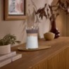 RADIANT CASHMERE ŚWIECA DUŻA - WoodWick