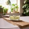 YUZU & VETIVER ŚWIECA ELIPSA - WoodWick