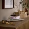 CHERRY BLOSSOM & VANILLA ŚWIECA ELIPSA - WoodWick