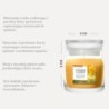 STARFRUIT & SUNSHINE Świeca mała - Yankee Candle